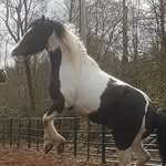 Laura Chilton - @dhthundering_river - Instagram