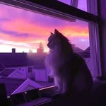 Laura Chmielniak - @laurachmielniak - Instagram