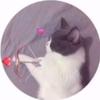laurachristophe - @laurachristophee - TikTok