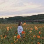 Laura Cieślak - @lauracieslak83 - Instagram