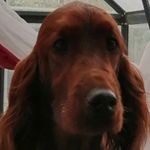 Laura Cinquini - @laura.cinquini.50 - Instagram