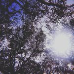 @cisco__laura - Instagram