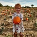 Laura Climer - @climerlaura - Instagram