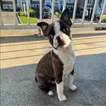 Laura Comeau - @laura.comeau34 - Instagram