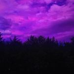 Laura Comer - @laura_works2022 - Instagram