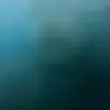 laura conners - @lauracgonz - TikTok