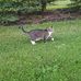 Laura Cook - Facebook