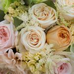 Laura Coon - @lauracoondesigns - Instagram