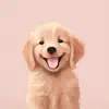 lauracovert42 - @lauracovert42 - TikTok