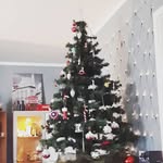 Laura - @laura.creeds - Instagram