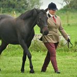 Laura Crew Equestrian - @lc_equestrian0 - Instagram