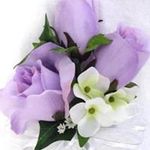 Laura Cristaldi - @laura1953cristaldi - Instagram