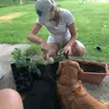 laura.cronan - @laura.cronan - TikTok