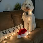 Laura Croyle - @croylelaura - Instagram