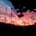 Laura Crupi - Facebook