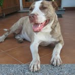 Laura Cucuzza - Facebook