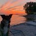 Laura Cudmore - Facebook