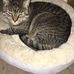Laura Culp - Facebook