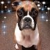 Laura Culp - Facebook
