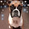 lauraculp22 - @lauraculp22 - TikTok