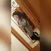 la Curcio - @lauracurcioo - TikTok