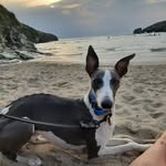 Laura Curd - @lauracurd - Instagram