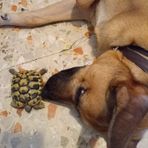 Laura Cusano - Facebook