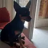 laura cutrera - @lauracutrera18 - TikTok