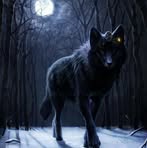 Laura Dakin - Facebook