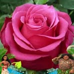 Laura Dames - Facebook