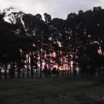 Laura Díaz - @lauradamestoy - Instagram
