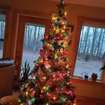 Laura Damron - @laura.damron.756 - Instagram