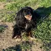 lauradanks261 - @lauradanks261 - TikTok