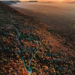 @laura.dans.les.bois - Instagram