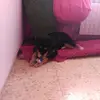 Laura - @lauradans - TikTok