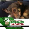 Laura Da Re - @laura.da.re1 - TikTok