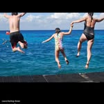 Laura Darling-Greer - @darlinggreer - Instagram