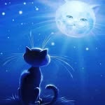 Laura Darnall / Terry - @lauralynnwitch56 - Instagram