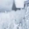 LauraDaughtry4680 - @lauradaughtry4680 - TikTok