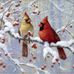 Laura Dell - Facebook
