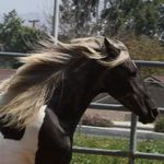 Laura Leonard Pearson Densmore - @ldensmore1175 - Instagram