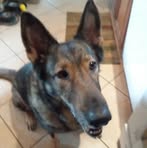 Laura Dettman - Facebook