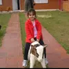 Laura Dieterich - @laura_dieterich - TikTok
