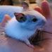 Laura Dollard - Facebook
