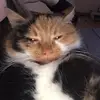 _lauradrozdz_ - @_lauradrozdz_ - TikTok