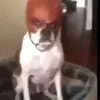 Laura Drozd - @lauradrozd584 - TikTok