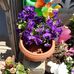 Laura Duane - Facebook