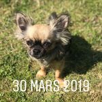Laura Duclos - @lauraduclos29 - Instagram