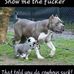 Laura Dulin - Facebook