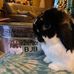Creekside Ottery -Laura Dull - Facebook